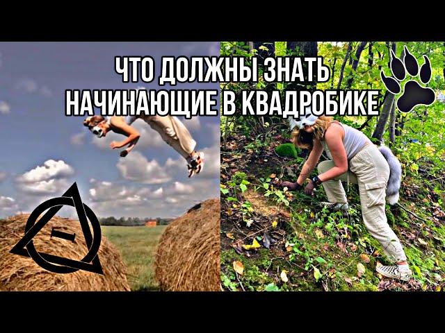 ЧТО ДОЛЖНЫ ЗНАТЬ НАЧИНАЮЩИЕ В КВАДРОБИКЕ