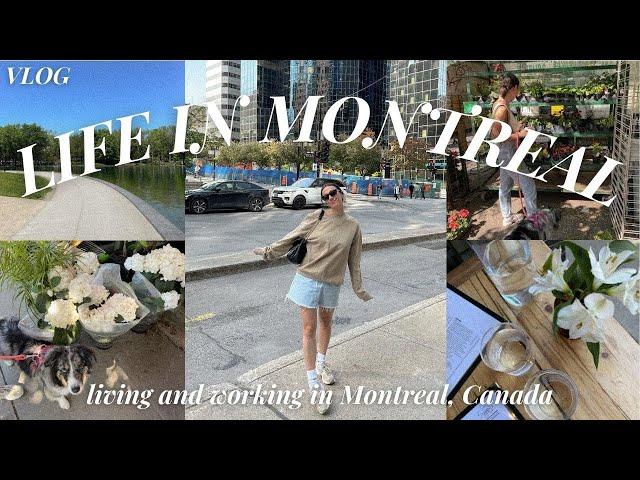 what it's REALLY like living & working in Montreal, Canada  days in my life (VLOG)