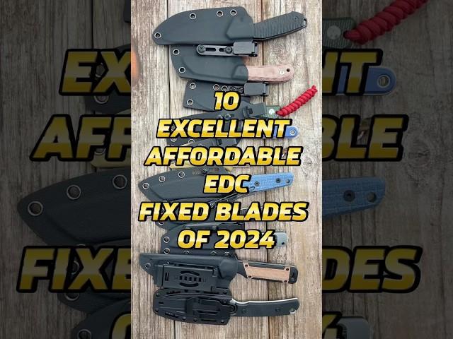 10 Great Affordable EDC Fixed Blades of 2024! #edc #shorts #blade #knives