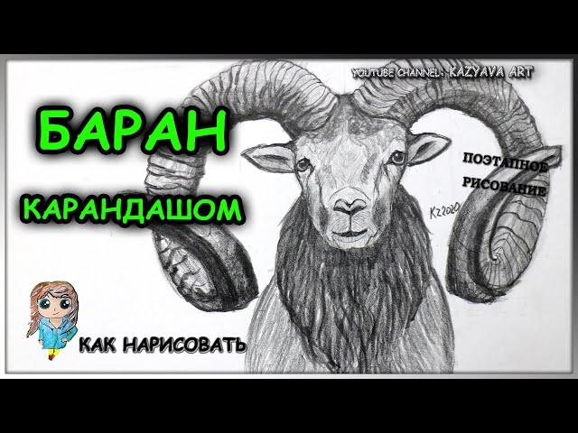 Как нарисовать Горного БАРАНа карандашом. Поэтапное рисование