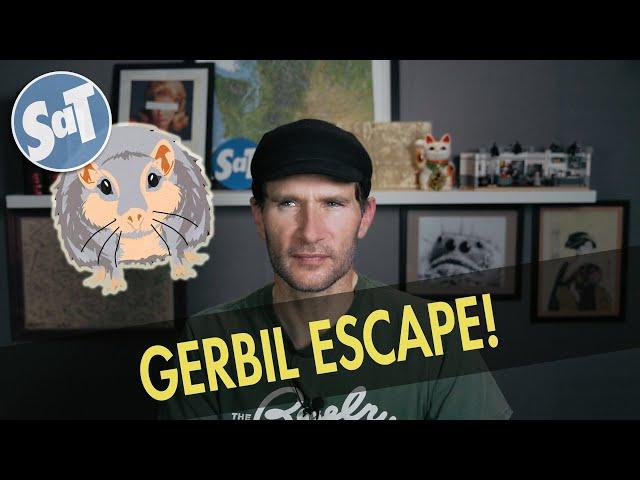 MY GERBIL ESCAPED! + EXOTIQUE MIXTURE | Sunday STUFFandTHINGS | 09/04/2022