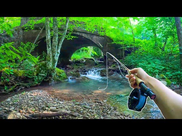 How to Catch MORE Brook Trout || Fly Fishing For Beginners
