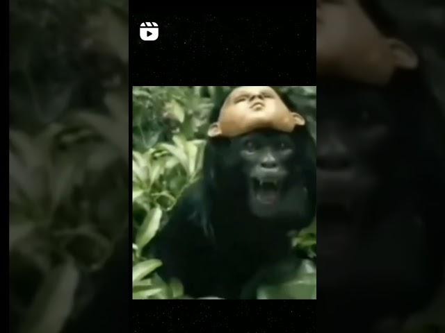 NEW MONKEY  #twitch  MONSTER  #gamer #animals #comedy #artsy #meme #memes #artvideo #funny