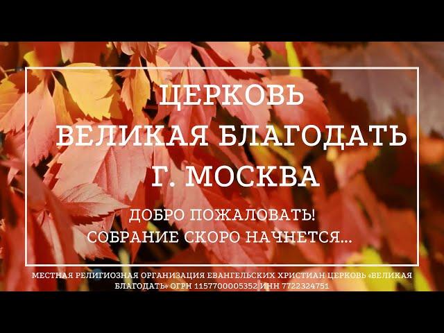 24.11.2024. Дискуссия. церкви «Великая Благодать» г. Москва