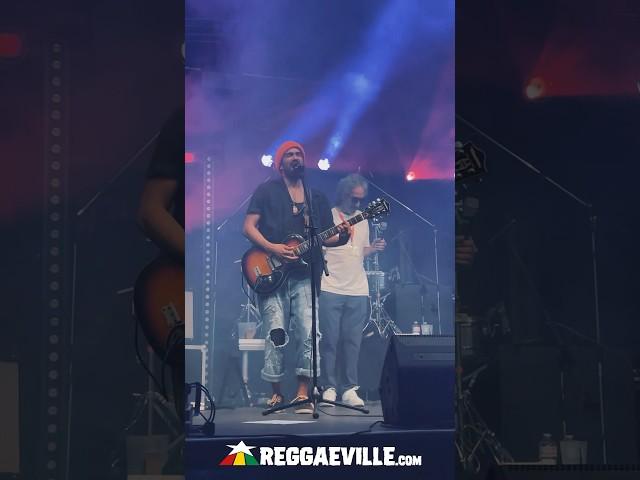 Marley's Ghost & Andrew Murphy @ Turnpike Reggae Festival 2024