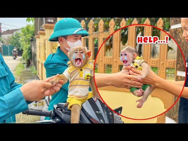 Baby monkey TiTi says goodbye to monkey PiPi