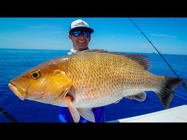 MONSTER Mangrove Snapper! Catch Clean Cook