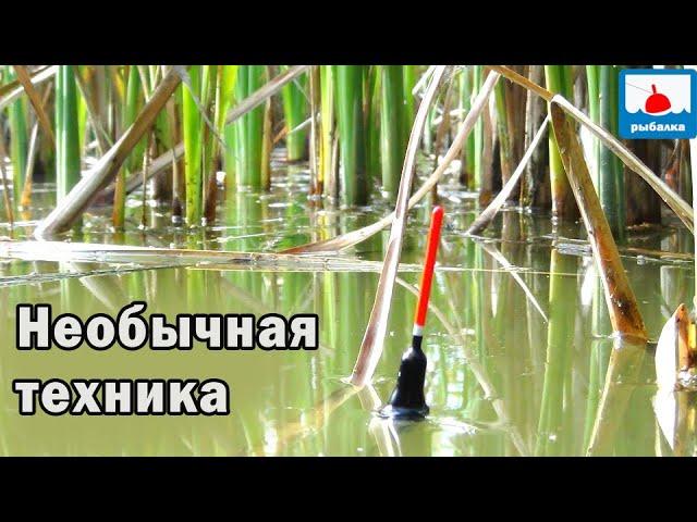 Новые секреты ловли ЛИНЯ ! Техника которая ловит!