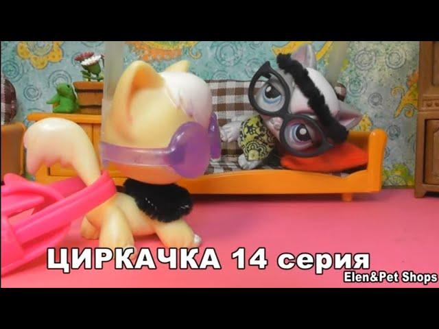 LPS: Циркачка 14 серия