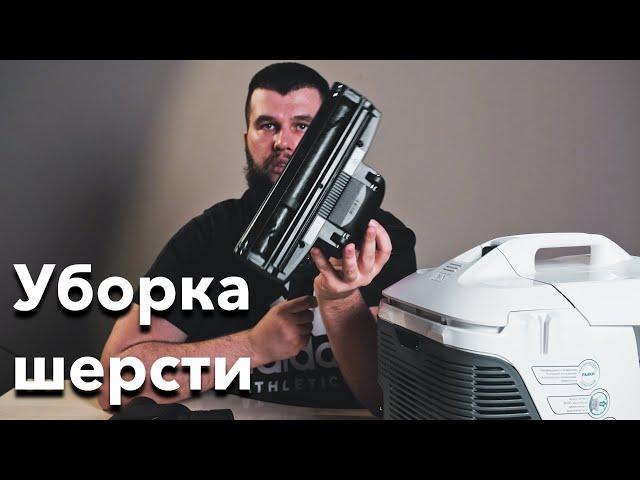 Самый эффективный способ уборки шерсти животных