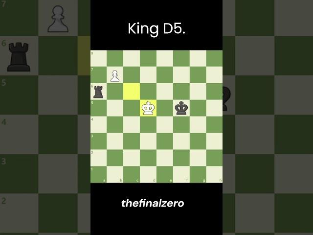 So IMPORTANT Chess Endgame