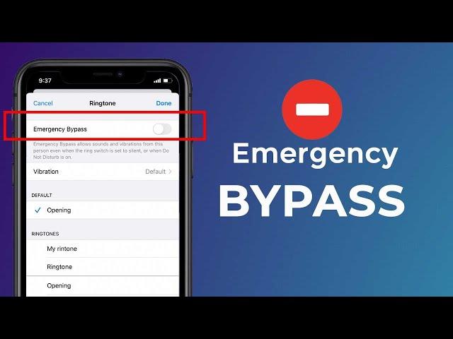 How to Enable Emergency Bypass on iPhone | iPhone Settings | Apple info