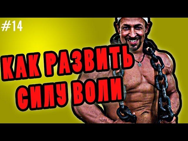 как развить силу воли | лайфхак