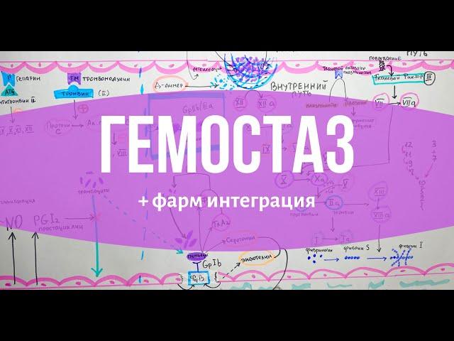 ГЕМОСТАЗ за 15 минут // + интеграция с фармакологией