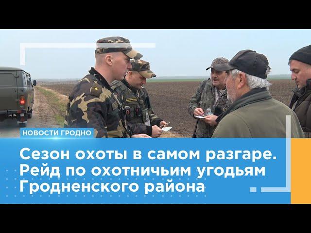 Охота на охотников. Что показал рейд по охотничьим угодьям Гродненского района?