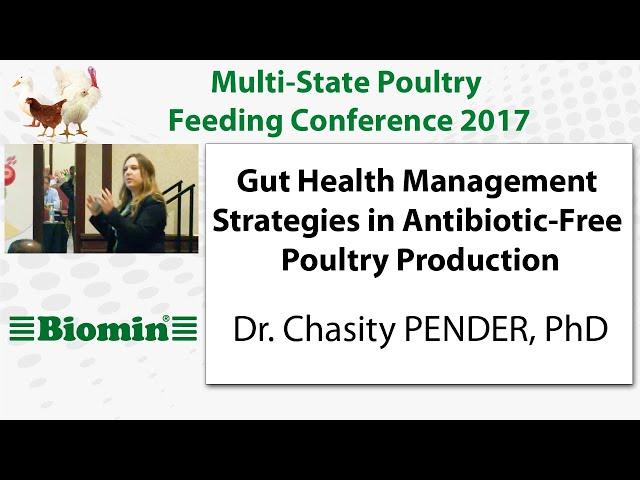 Gut Health Management Strategies in Antibiotic-Free Poultry Production