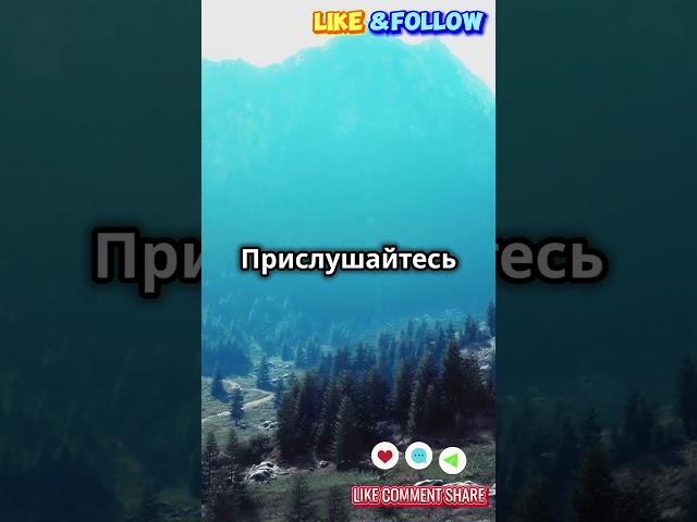 Безмятежность гор #tiktok #шортс #shorts #travel  #facts #рекомендации #fyp #vip #факты  #животные