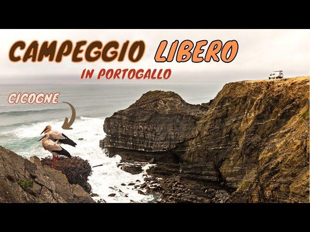 CAMPEGGIO LIBERO IN PORTOGALLO | AD UN PASSO DALLE CICOGNE [4K]