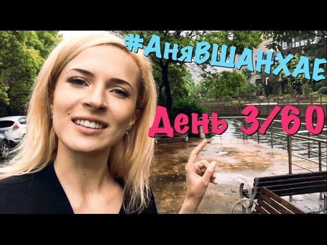 #АняВШАНХАЕ! День 3 из 60 | Аня Гресь VLOG | Anya Gres