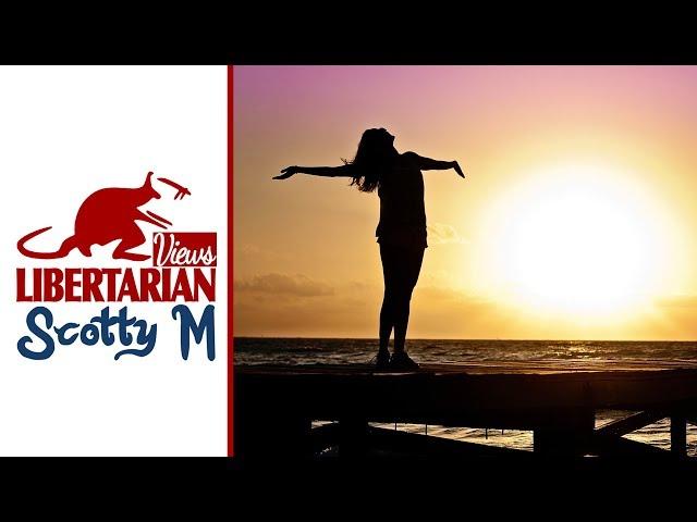 Libertarian Views: Debunking BadMouseProductions Part 1