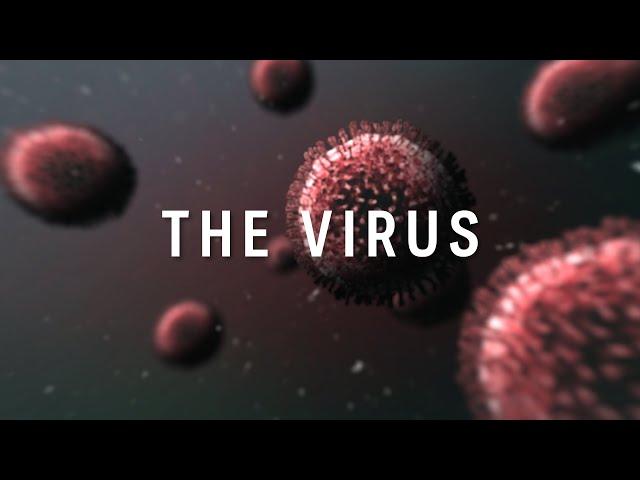 THE VIRUS: From the frontline of the coronavirus epidemic | ABC News