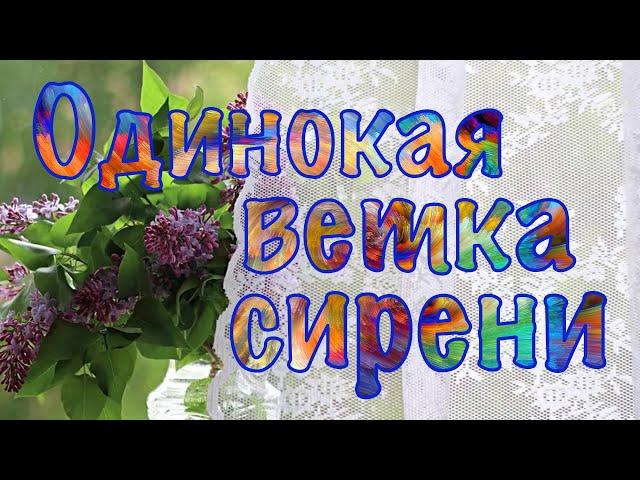 Одинокая ветка сирени. Игра на электробаяне. Школа игры на баяне. Баян с нуля.