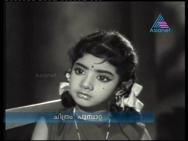 Song 133 of Rare video songs series: "Shibi ennu perayi pandu pandoru" ശിബിയെന്നു പേരായ് പണ്ടു.