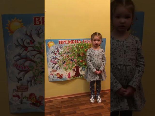 Художественное чтение стихотворения В.Н.Сосина. Борисова Мария "Времена года"