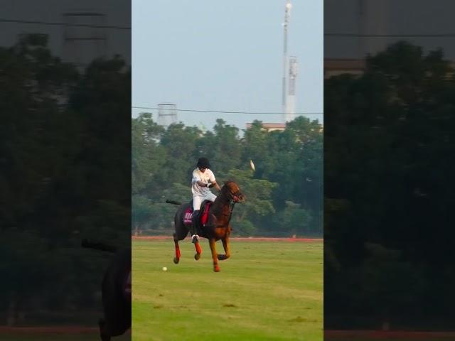 Polo in Lahore #polo #sports #horse #pakistan #argentina #usa #uk #dubai #youtubeshorts #youtube