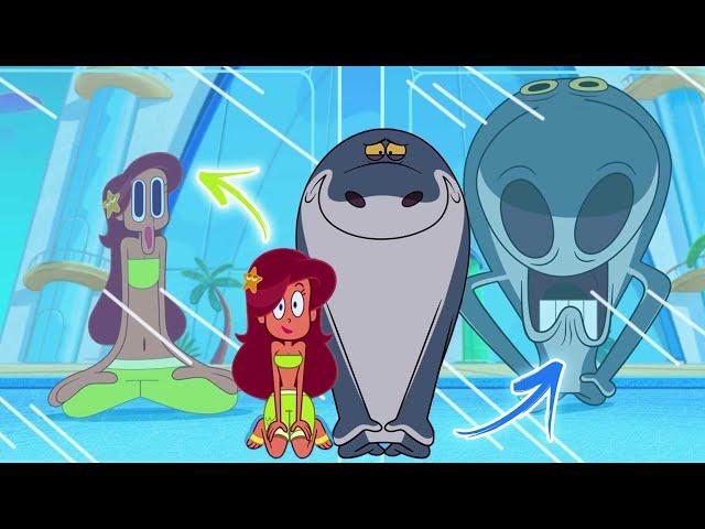 Zig und Sharko |  NEUE STAFFEL 4 ‍ Illusion! (S04E51) | Volledige aflevering in HD