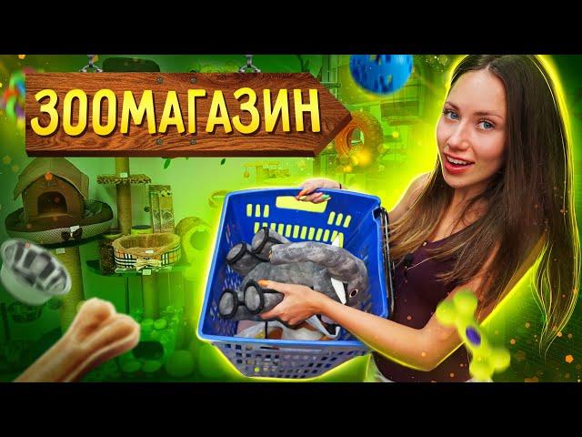 Экзотические ПОКУПКИ из ЗООМАГАЗИНА - Кипр  | Elli Di Pets