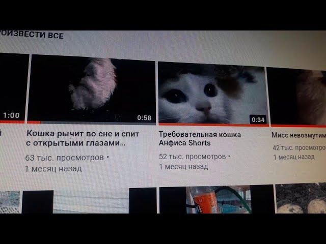 Что же такое короткое видео Shorts в YouTube и мой опыт