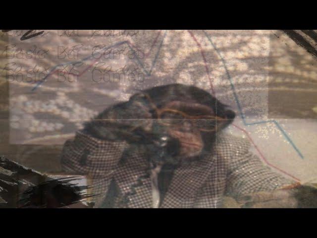 Basic Bar Cameo - RADIX | 2025