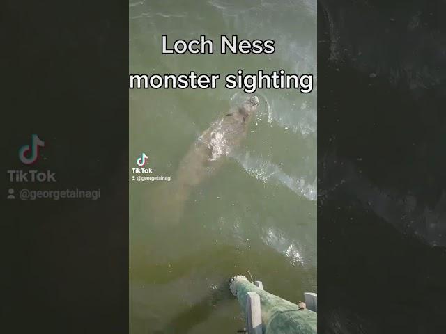 Loch Ness monster sighting