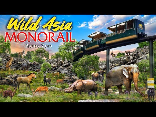 Zoo Tours: Wild Asia Monorail | Bronx Zoo (POV)