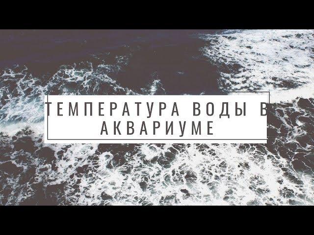 ТЕМПЕРАТУРА ВОДЫ В МОРСКОМ АКВАРИУМЕ