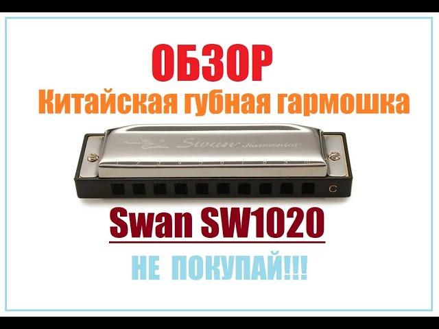 Обзор губной гармошки SWAN SW1020. Совет начинающим. Выбор губной гармоники.