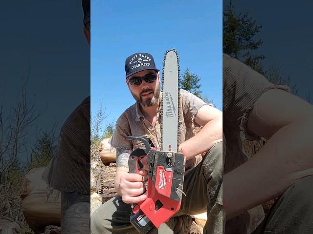 Milwaukee M18 2826 vs Stihl MS194T