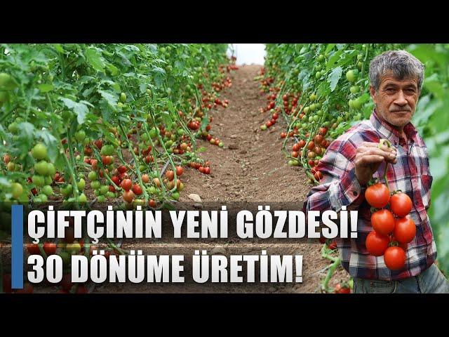 Çiftçinin Yeni Gözdesi! 400 Metrekareden 30 Dönüme Serada Üretim! / AGRO TV HABER