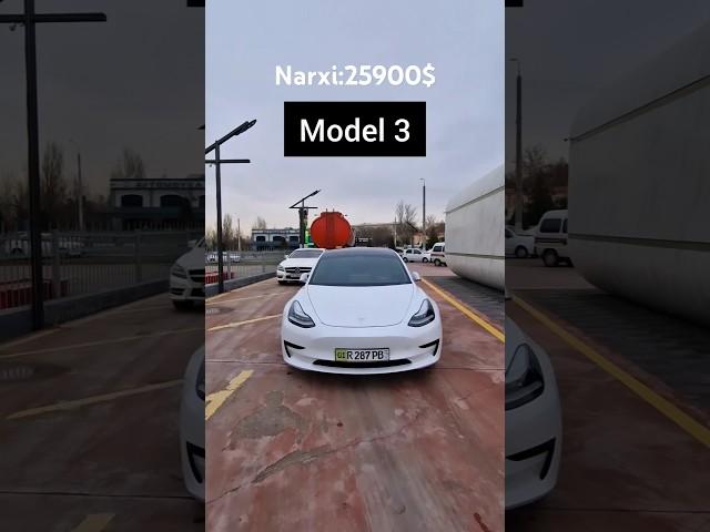 ENG ARZONI TESLA MODEL 3