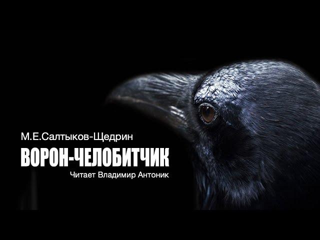 «Ворон-челобитчик». М.Е.Салтыков-Щедрин. Читает Владимир Антоник