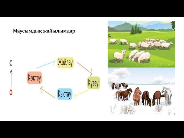 3 сынып дүниетану Көшпелілер мен отырықшылардың өмір салты 2 тоқсан №12 сабақ