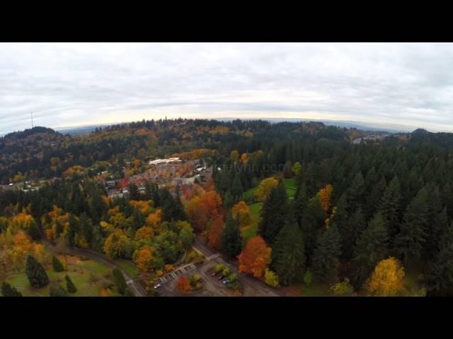 Aerial Portland 39 SW Forest