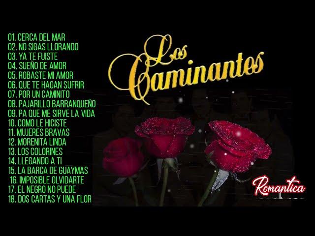 Puras románticas de los caminantesLos Caminantes 30 Rancheras Romanticas Perronas Éxitos