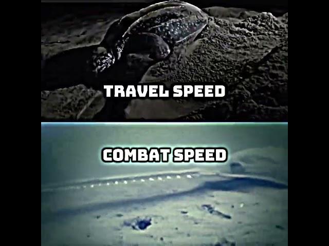 Swamp vs Ocean Wheel Part 1