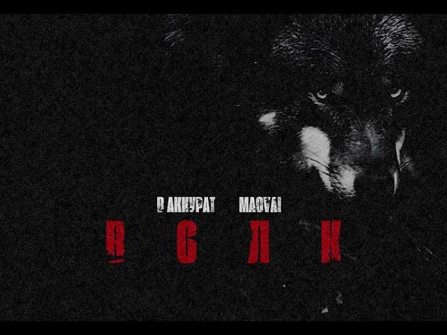 В АККУРАТ, Magvai - Волк
