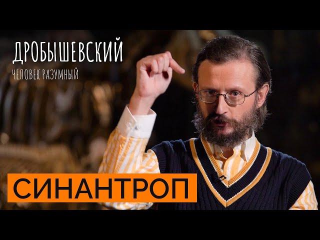 Как в Китае изучают общих предков // Дробышевский. Человек разумный