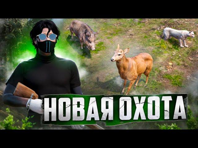 СКОЛЬКО МОЖНО ЗАРАБОТАТЬ В ЧАС НА ОБНОВЛЕННОЙ ОХОТЕ В GTA 5 RP? НОВАЯ ОХОТА НА ГТА 5 РП В 2025.
