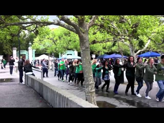 Conga Line Flash mob