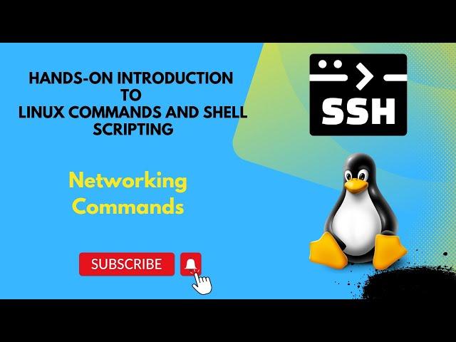 Networking Commands || Hands-on Introduction to Linux Commands and Shell Scripting